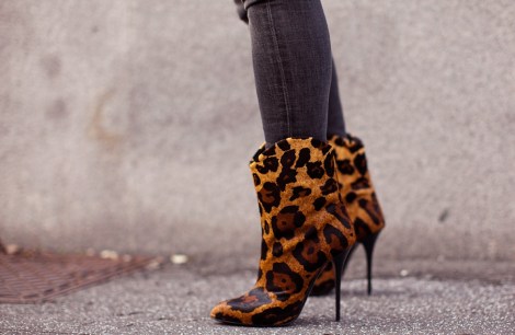 animal print2