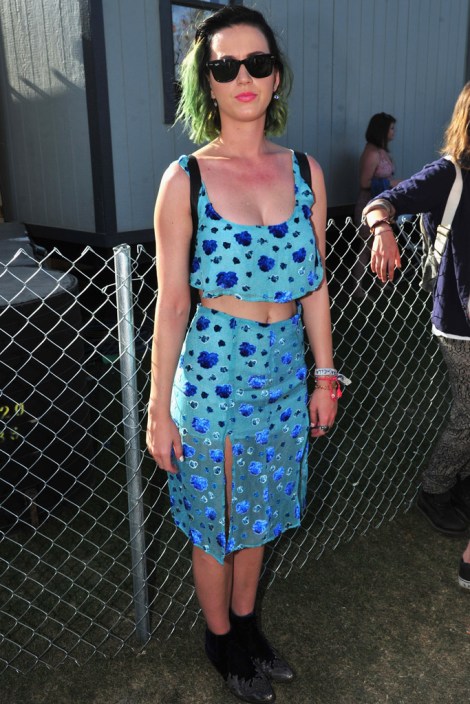 Coachella Festival 10