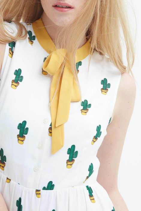 tendencia-cactus 7